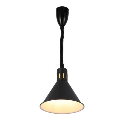 Black Pendant Light with Coiled Stem